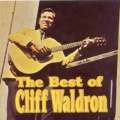 cliff waldron - Falling Leaves
