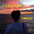 泪鑫的歌 (Remix)