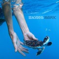 ШаолинЬ - Выброс