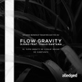 Djoko、Thalo Santana - Flow Gravity (Feat. Thalo Santana)