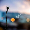 嘉颜 - 爱我你就跟我走