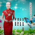 赵芙蓉 - 为何我还忘不了你