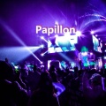 CDY - 王嘉尔-Papillon (CDY Remix)