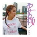 刘增瞳 - 后来的我们