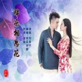 刘金兰 - 那朵相思花