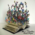 Mr. Shadow - Книга Жизни