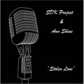 Ann Shine、SDK Project - Stolen Love (Extended)