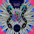 Paloma del Cerro、Aylu - Para Bien 3 (Aylu Remix)