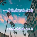 棹美丽、日大帅、成总 - 柔情似水