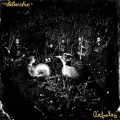 Los Gaiteros de San Jacinto、Silvestre - Campo Alegre