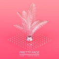 Schier、Lunar - Pretty Face (Schier Remix)