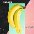 Budaah - The Feed
