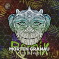 Morten Granau - Fuzzy Monkey (Second Sun Remix)
