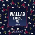 Wallax - Excuse Me (Ruan Brito Remix)