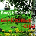 Влад Нежный - Берёзовые сны