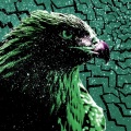 Lofty305 - Night Eagle