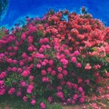 Let's Eat Grandma、Baths - I Will Be Waiting (Baths Remix)