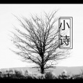 赵米禾 - 小诗