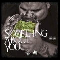 Big Gerb - Something About You