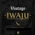 Vintage - Iwaju