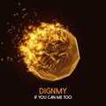 Dignmy - Perfect Couple