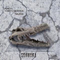 Roberto Medeiros、Aspeckt - Asteroid