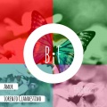 Lorenzo Clandestino - Amor