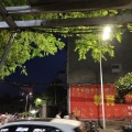 年该月值 - 不想和你做朋友