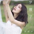 夏雨菲 - 梦醒了