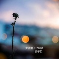 浪子哲 - 女孩爱上了烟酒