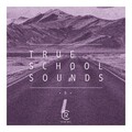 True School Sounds, Vol. 5