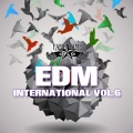 DJ Mirko B.、Stem Brothers - Firework