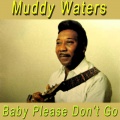 Muddy Waters - Who's Gonna Be Your Sweet Man When I'm Gone