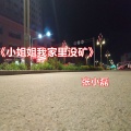 张小磊 - 小姐姐我家里没矿