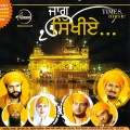 Saleem - Gurwani