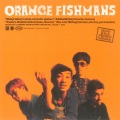 fishmans - 夜の想い