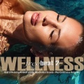 The Space Ensemble Project - Lost Key (Wellness Mix)