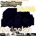 Lil Rue、Gudda、Bushrod Beezy - Never Love Again
