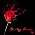 Music Sounds Better With You - Be My Forever