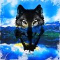 Nick & Danny Chatelain、Victor Sevik - Fly