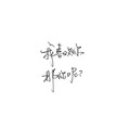 Kerr - 第三人称