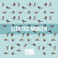 Madd Rod - Elektric Morgen (Original Mix)