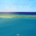 The Blue Rose - Broken Heart