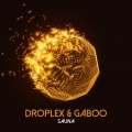 Gaboo、Droplex - Minimal Cowboy