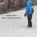 Joseph Arthur - What A Wonderful World