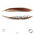 David's - Constrass