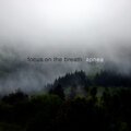 Focus on the Breath - Orion Belt