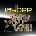 Jaybee - Say You Will (afonso m.)
