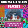 The Phenomenal Handclap Band、Peaches - Walk The Night