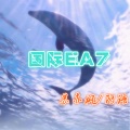 国际硬曲EA7 (Remix)